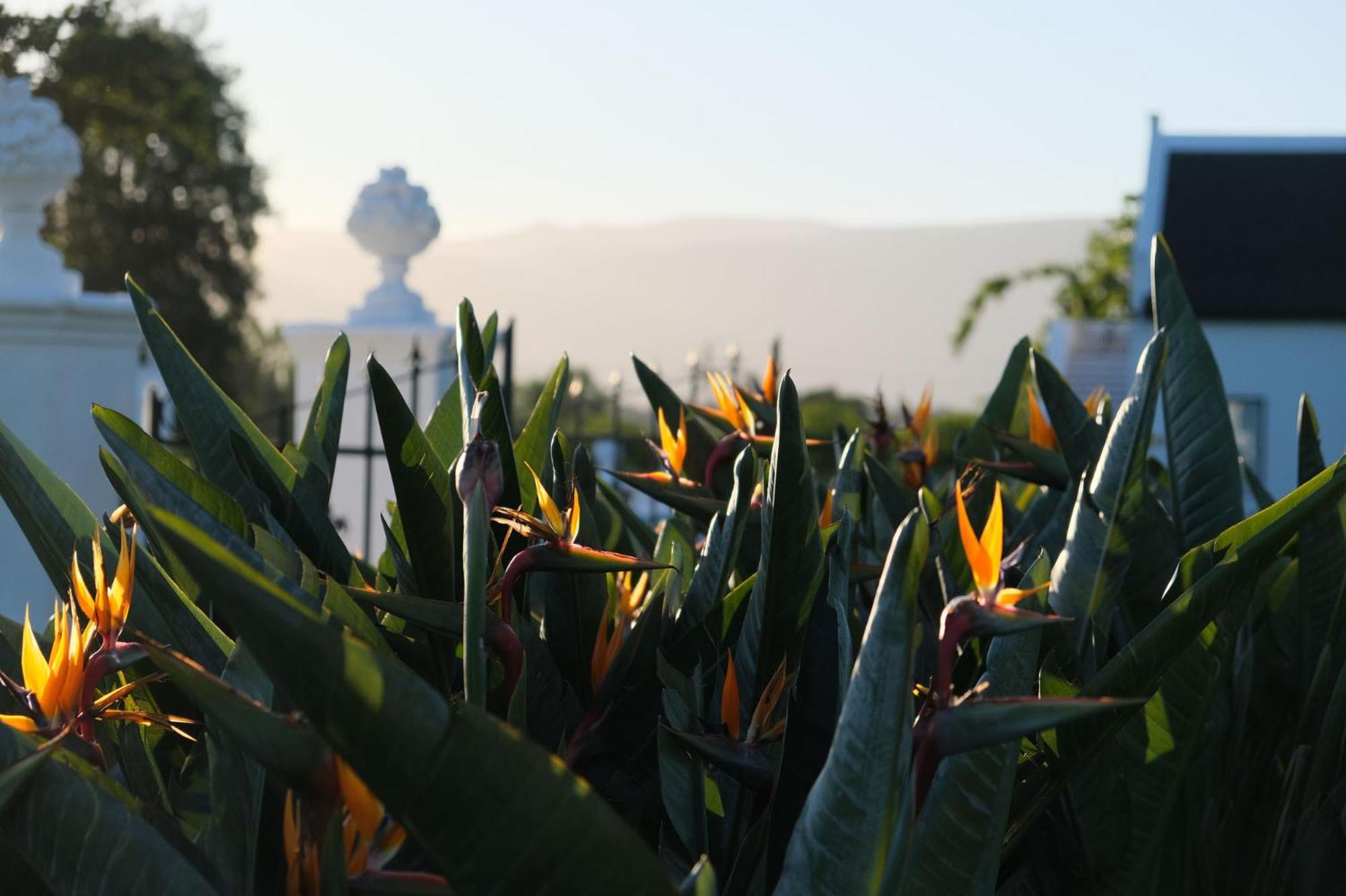 بارل Adara Palmiet Valley Luxurious Boutique Farm Hotel المظهر الخارجي الصورة