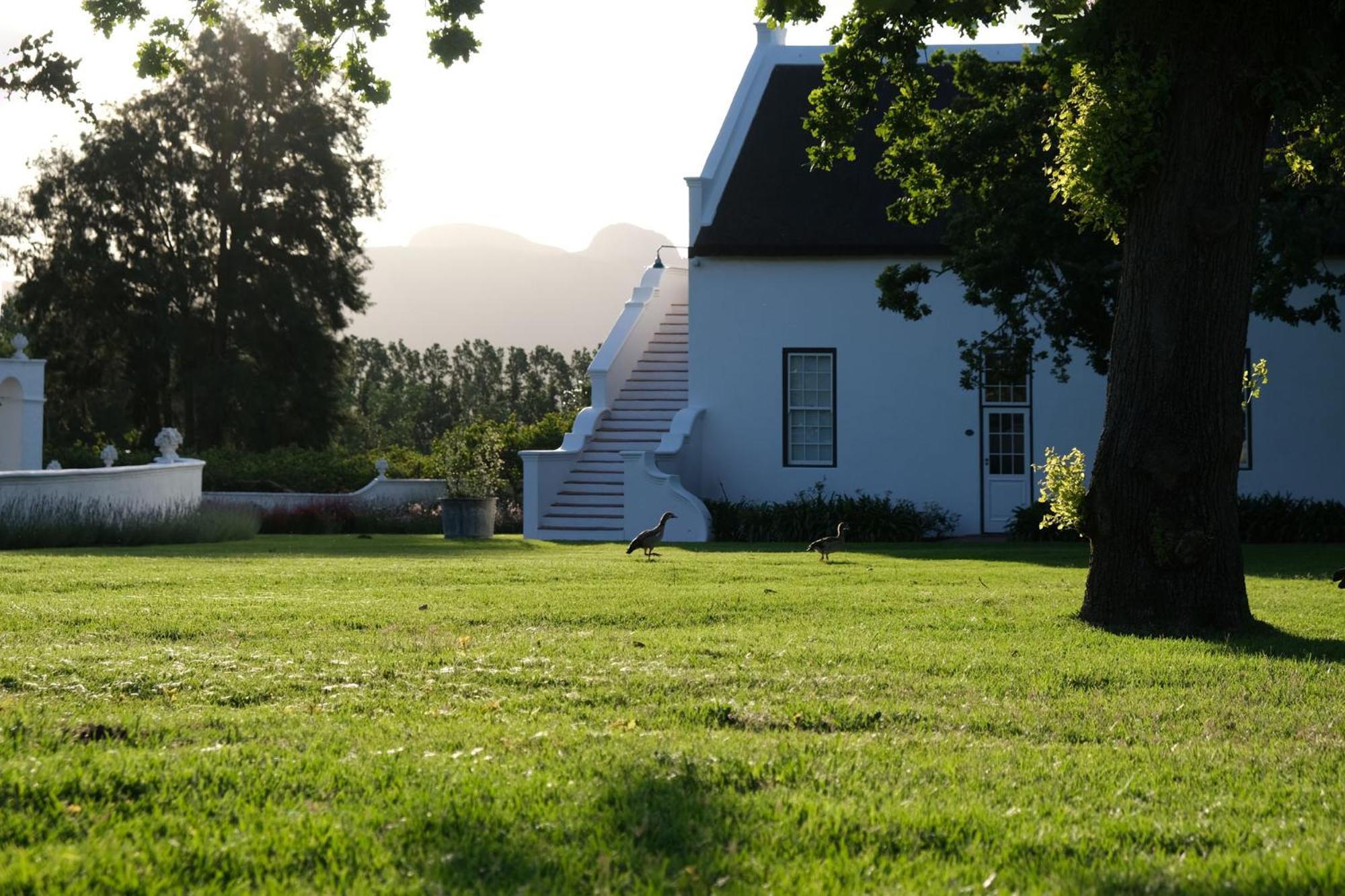 بارل Adara Palmiet Valley Luxurious Boutique Farm Hotel المظهر الخارجي الصورة